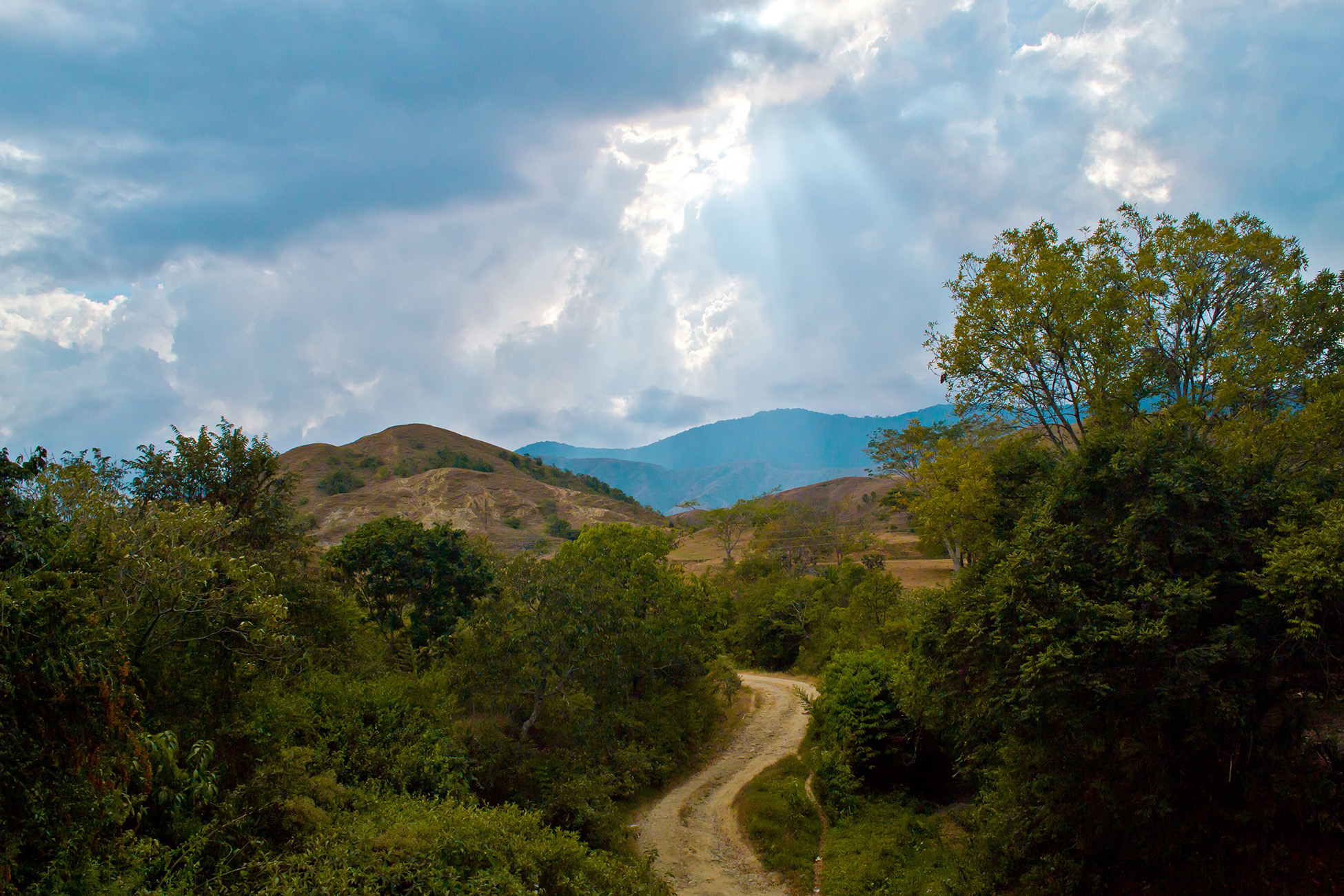 A dirt road surrounded by vegetation, with mountains in the background.