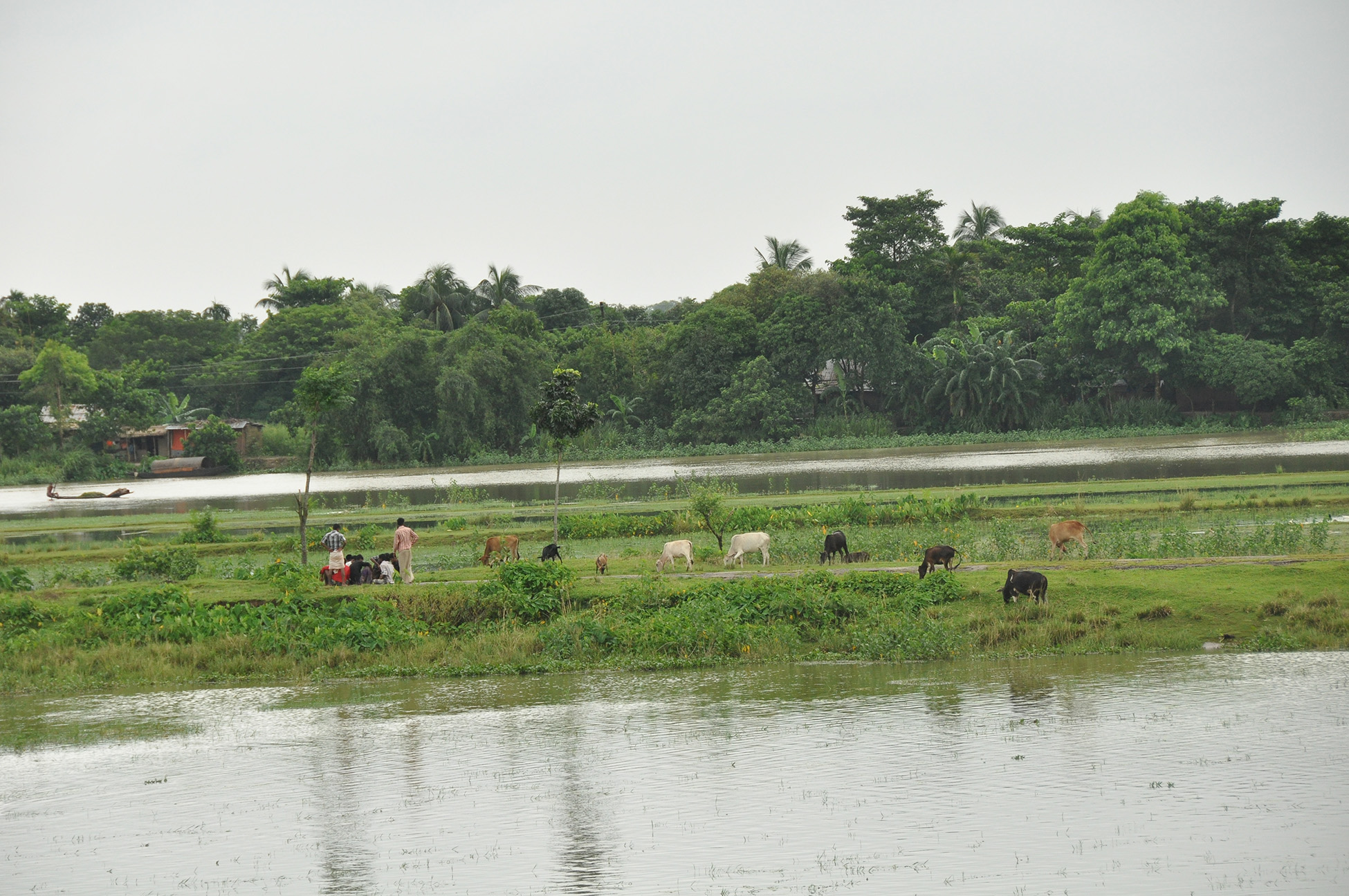 Two farmers and several goats stand on flooded farmland.
